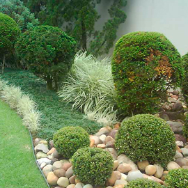 Jardinagem