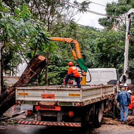 Remoção de Árvores